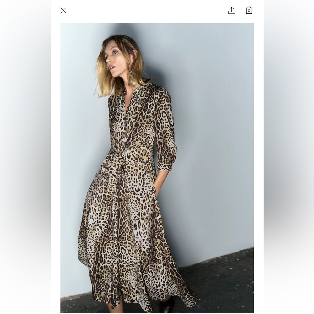 Zara Leopard Print Maxi Dress